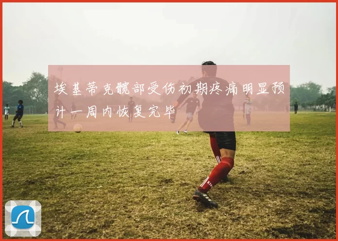 埃基蒂克髋部受伤初期疼痛明显预计一周内恢复完毕
